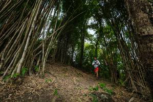 BIB: 
                            <button type="button" onclick="openModal(19395970)" class="btn btn-primary btn-sm float-right btn-popup" data-toggle="modal" data-target=".modal-high-quality">
                        <i class="fas fa-shopping-cart"></i> Add to Cart
                    </button>
                                            <button type="button" onclick="isThisMe(19395970, true)" class="btn btn-success btn-sm float-right btn-popup btn-isme hidden" data-toggle="tooltip" data-placement="bottom" title="นี่คือรูปของคุณใช่ไหม คลิกที่นี่เพื่อเอาเข้าอัลบั้ม">
                        <i class="fas fa-plus"></i> Add to album
                    </button>
                    <button type="button" onclick="isThisMe(19395970, false)" class="btn btn-warning btn-sm float-right btn-popup btn-isnotme hidden">
                        <i class="fas fa-ban"></i> Remove from album
                    </button>